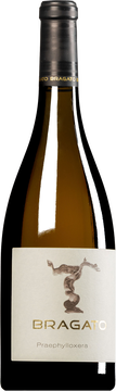 “Praephylloxera” Friulano Friuli Colli Orientali DOC 2019
Antonio Bragato | Friaul