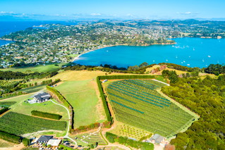 Auckland