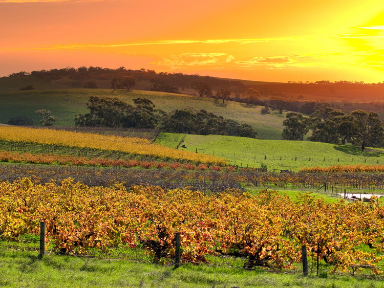 Valle di Barossa