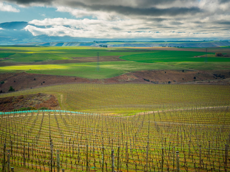 Central Otago