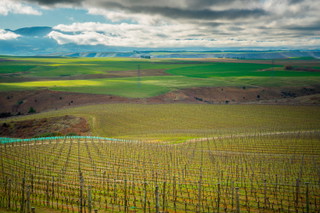 Central Otago