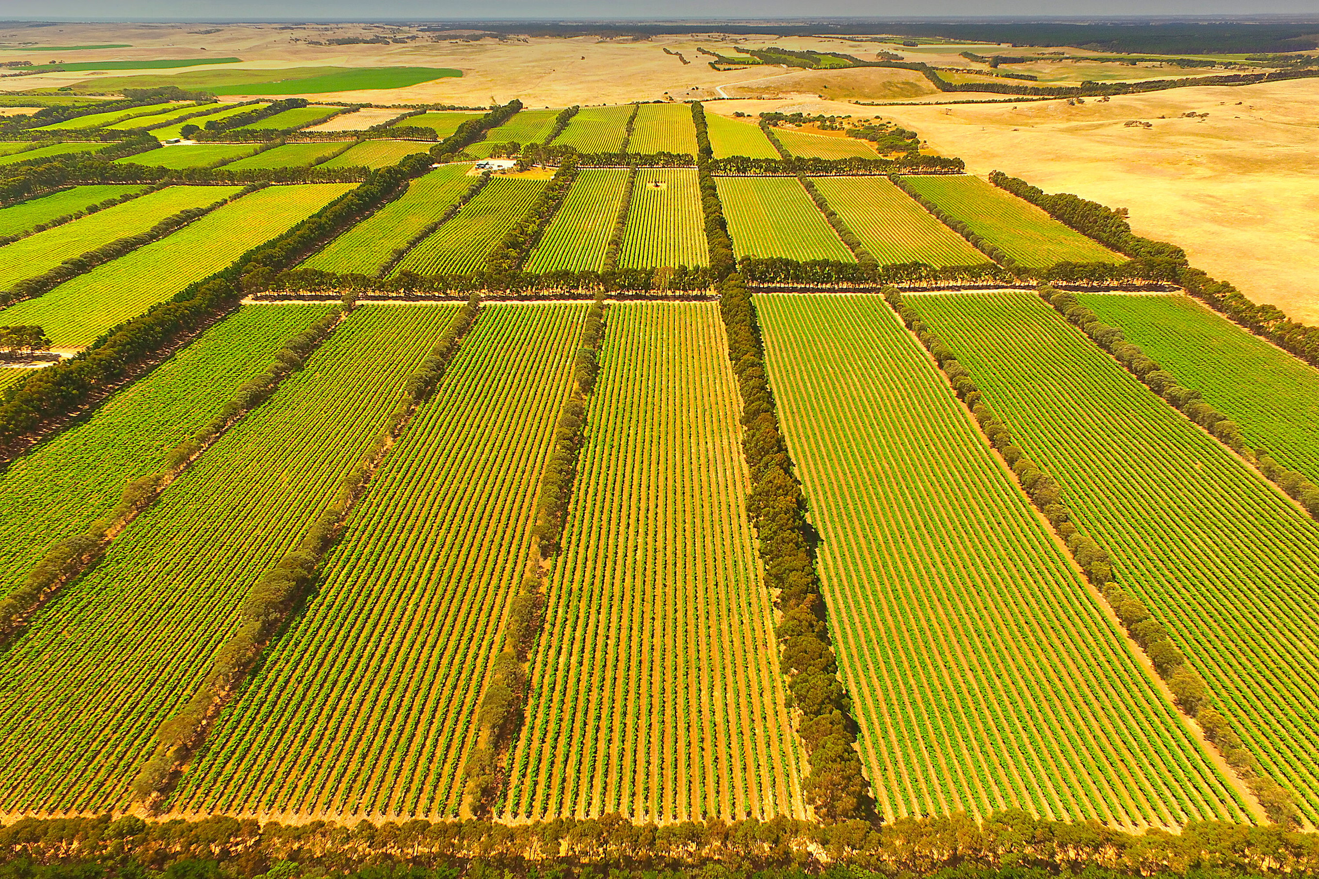 Coonawarra