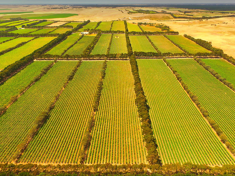 Coonawarra