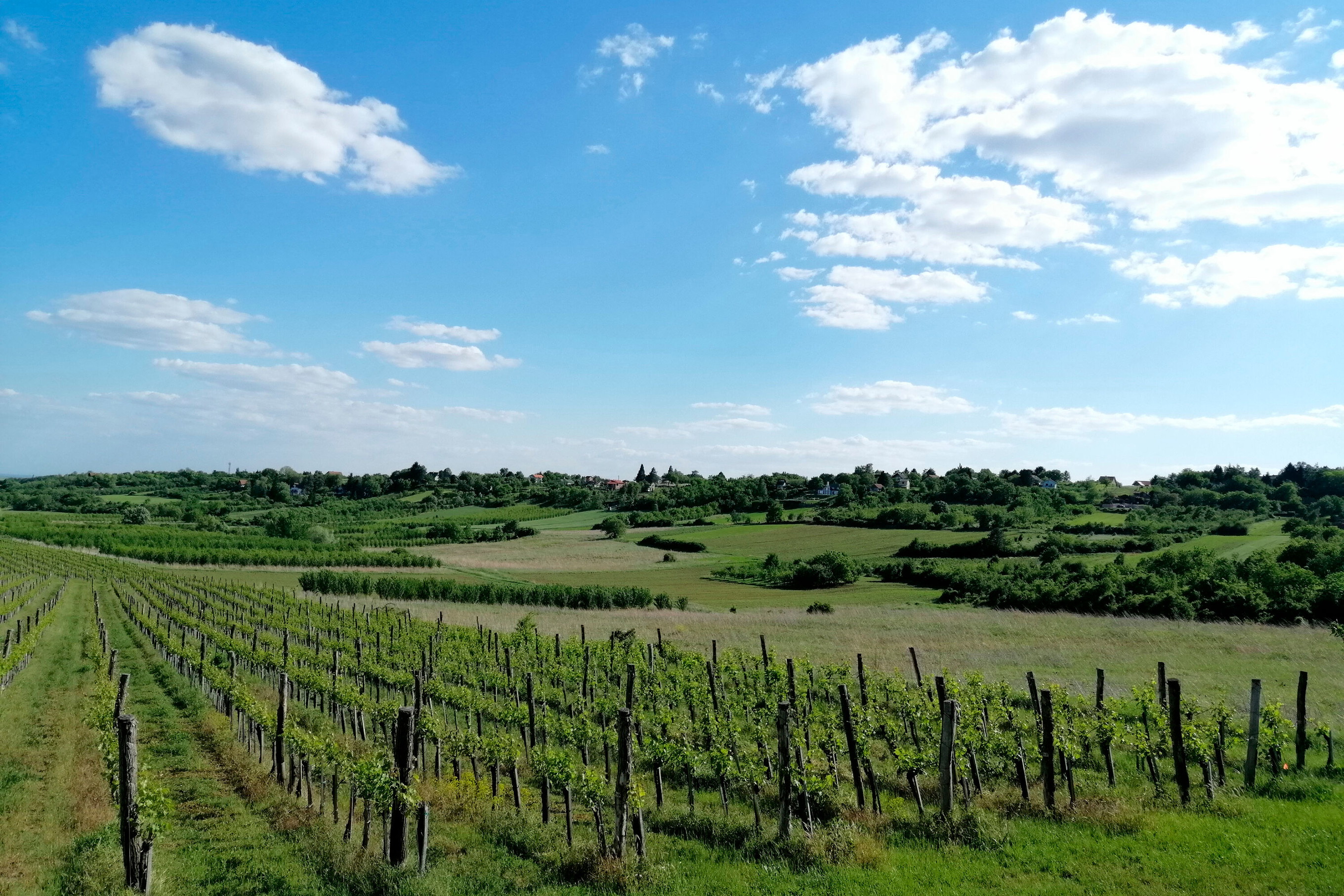 Podunavlje - Donaugebiet
