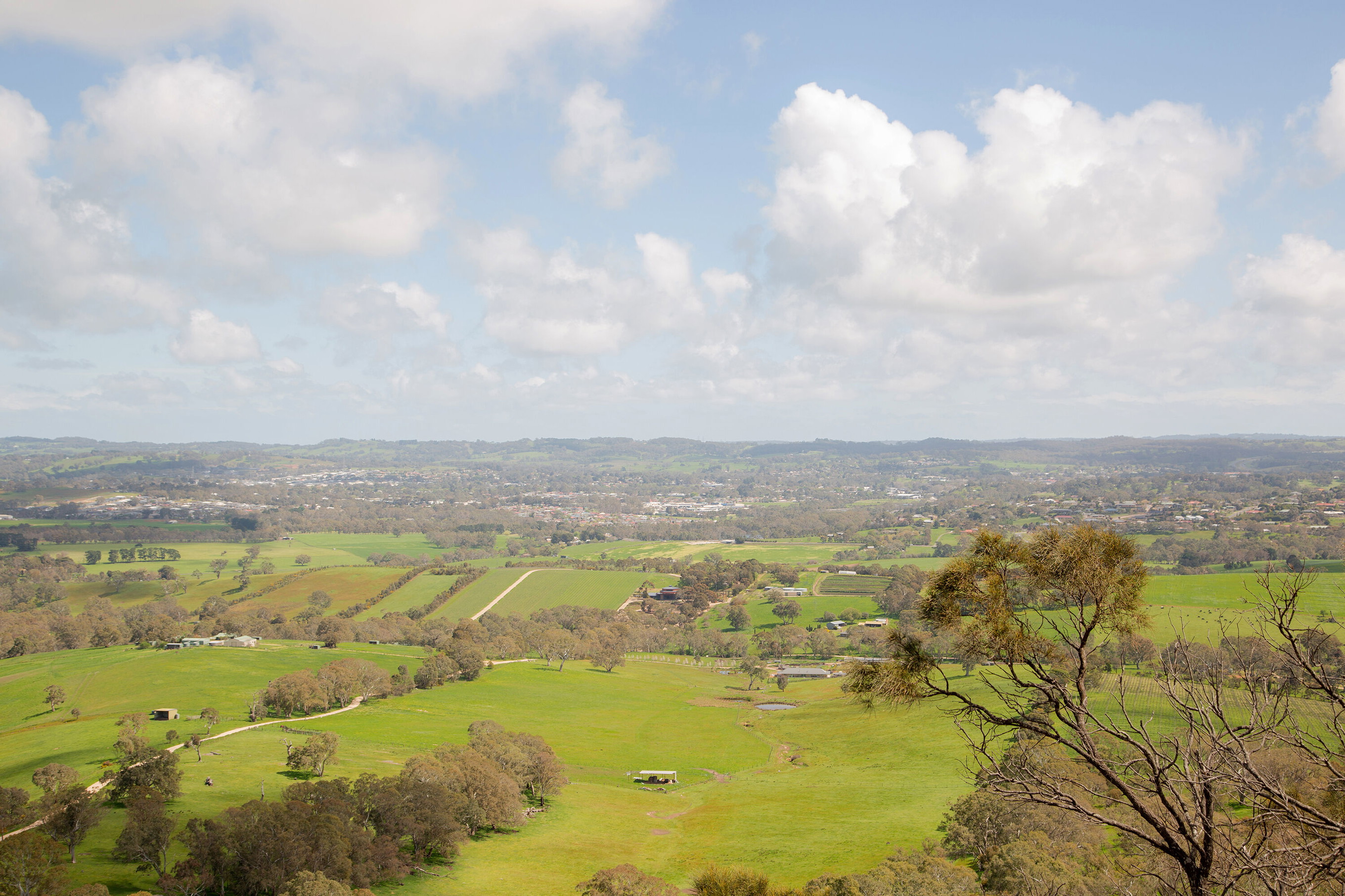 Great Southern