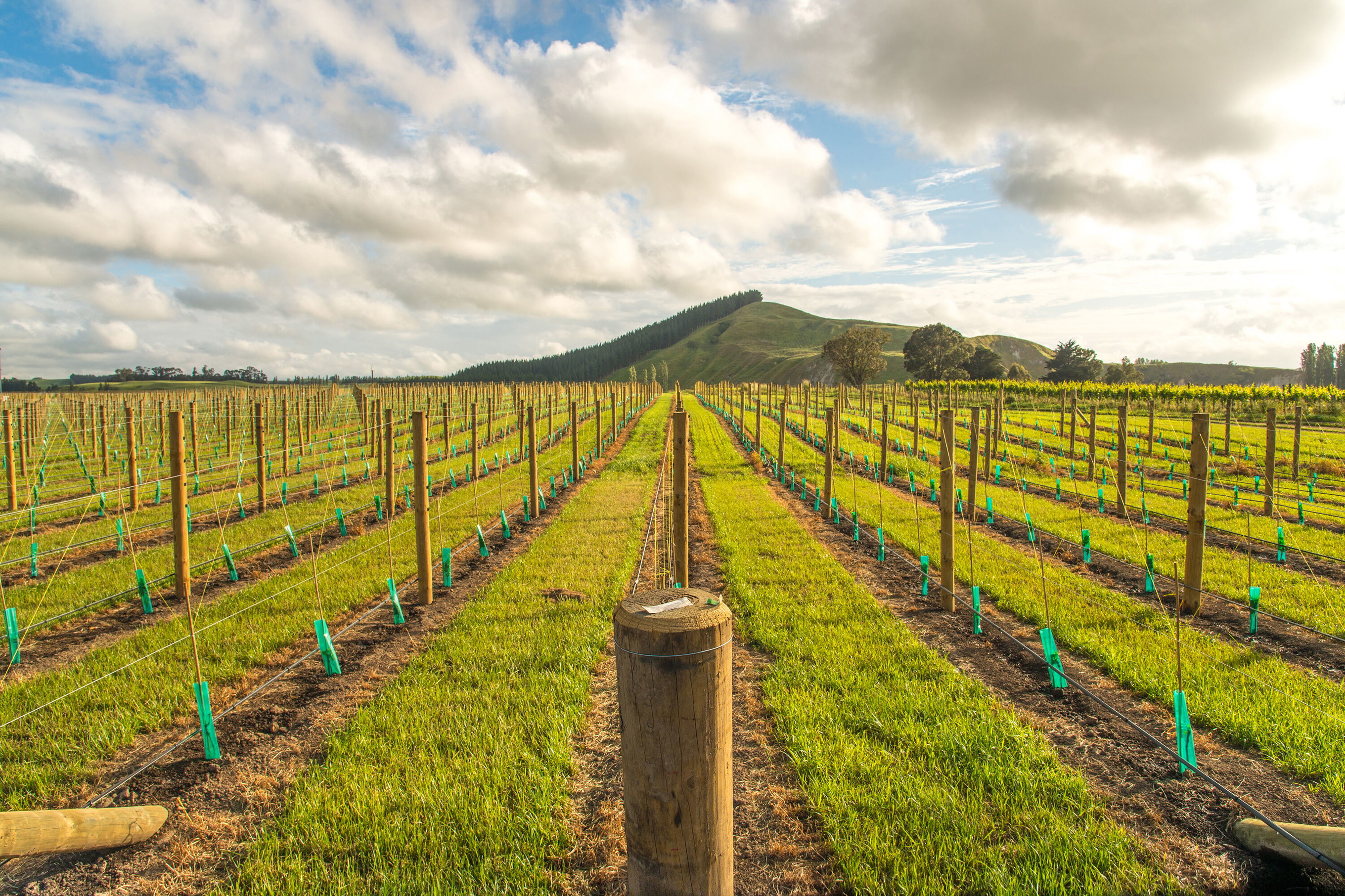 Hawkes Bay