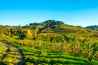 Hessische Bergstraße