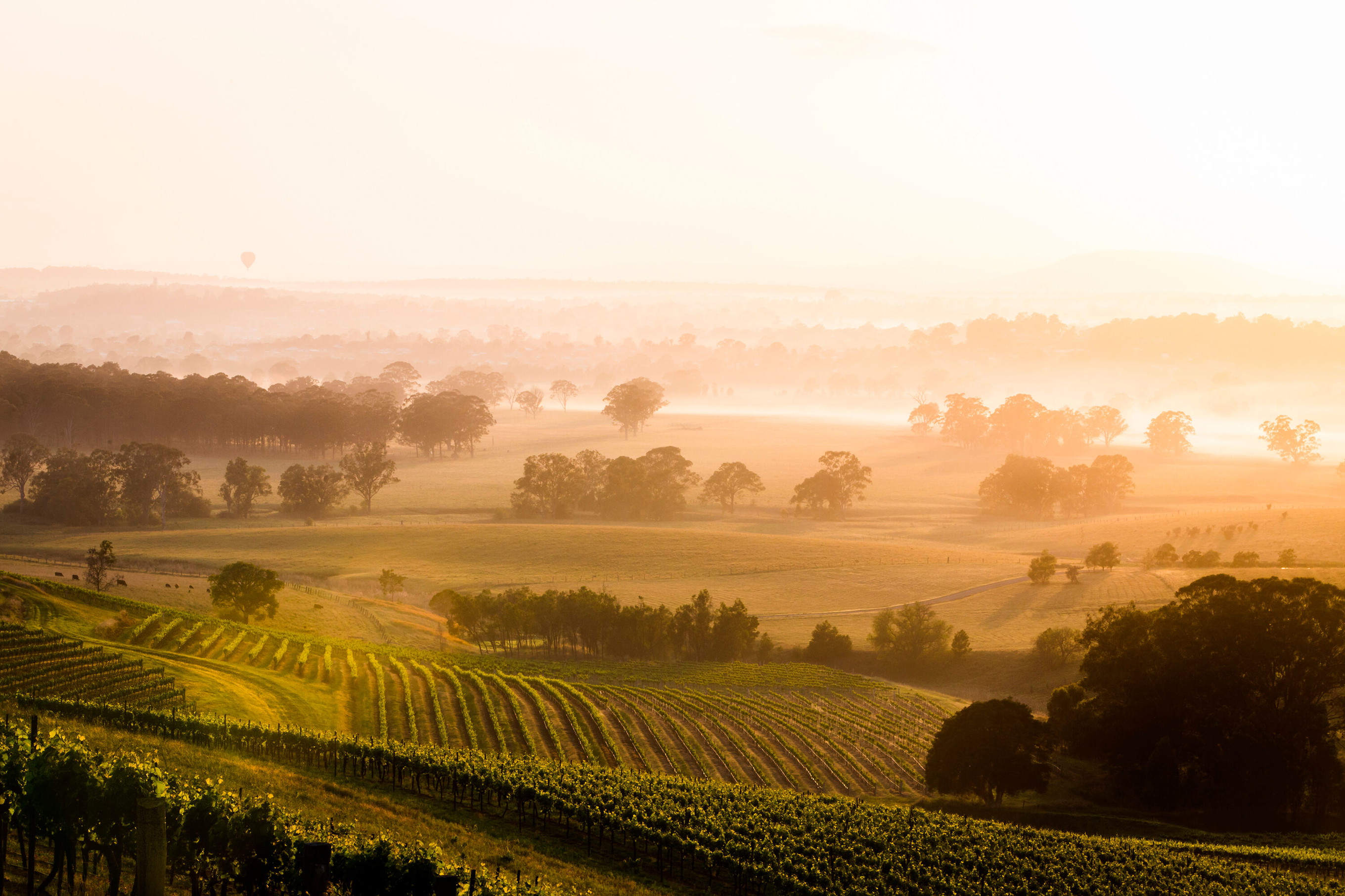 Hunter Valley