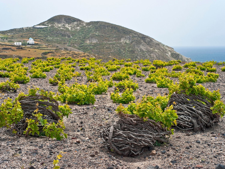 Cyclades