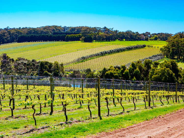 Penisola di Mornington