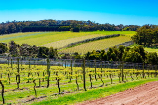 Mornington Peninsula