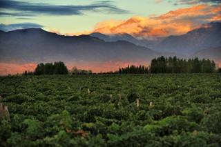 Northern Mendoza