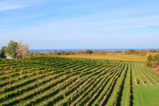Ontario