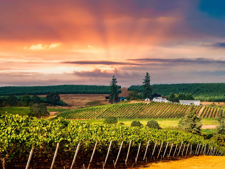 Oregon