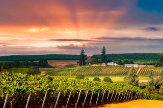 Oregon