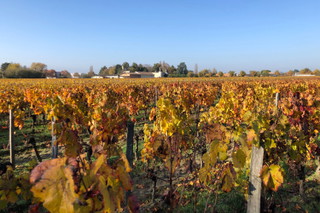 Pessac-Léognan