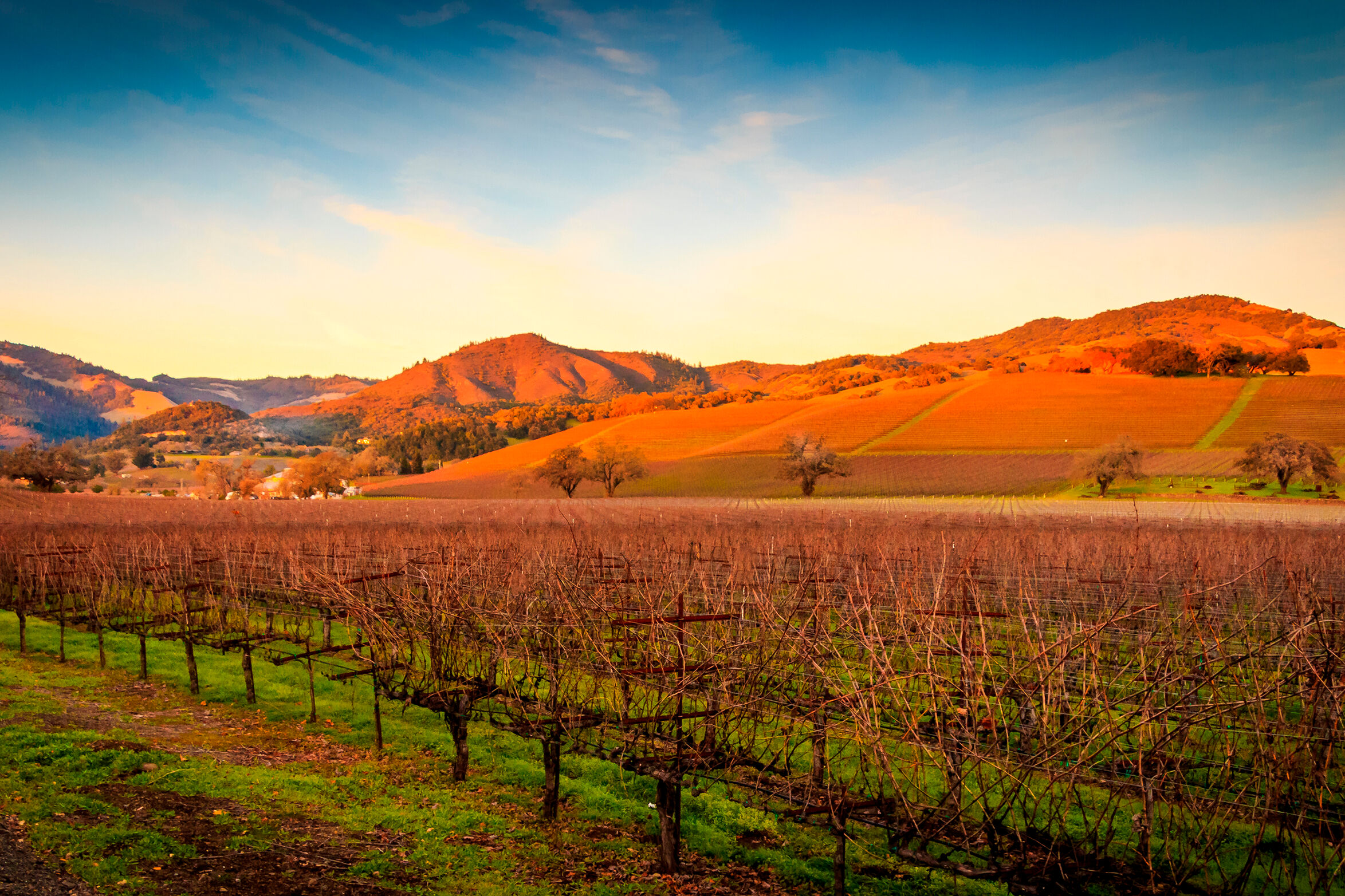 Sonoma Valley