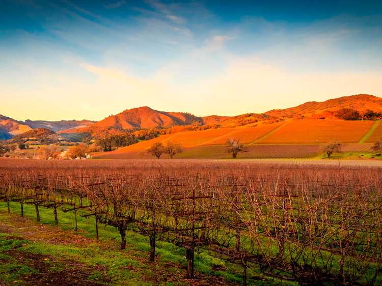 Valle di Sonoma