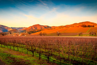 Sonoma Valley