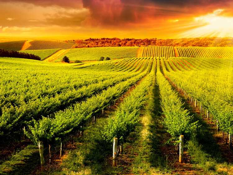 Australia Meridionale