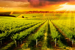 South Australia
