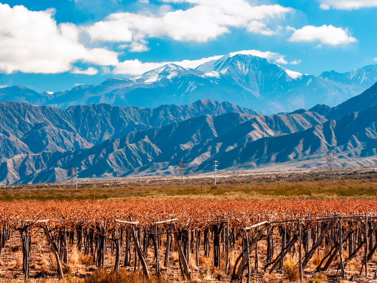Southern Mendoza
