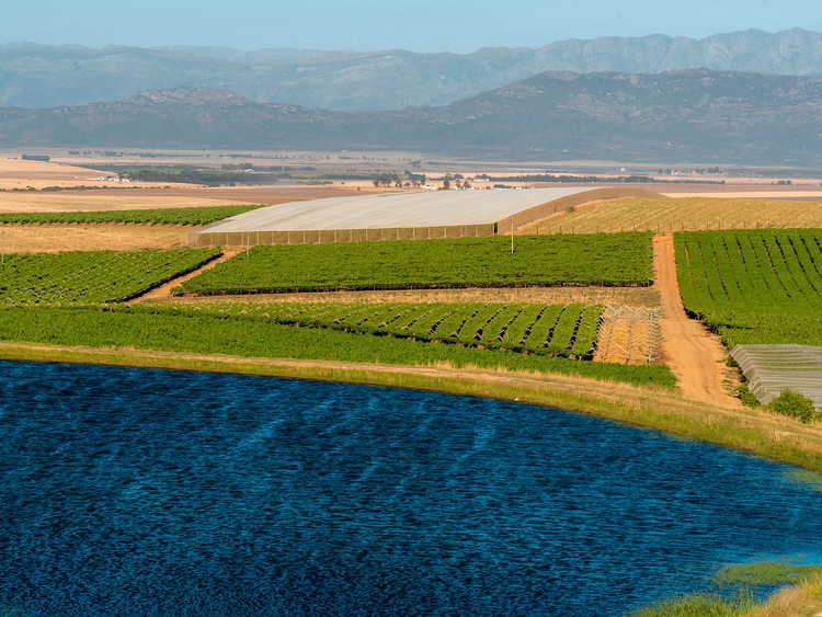 Swartland