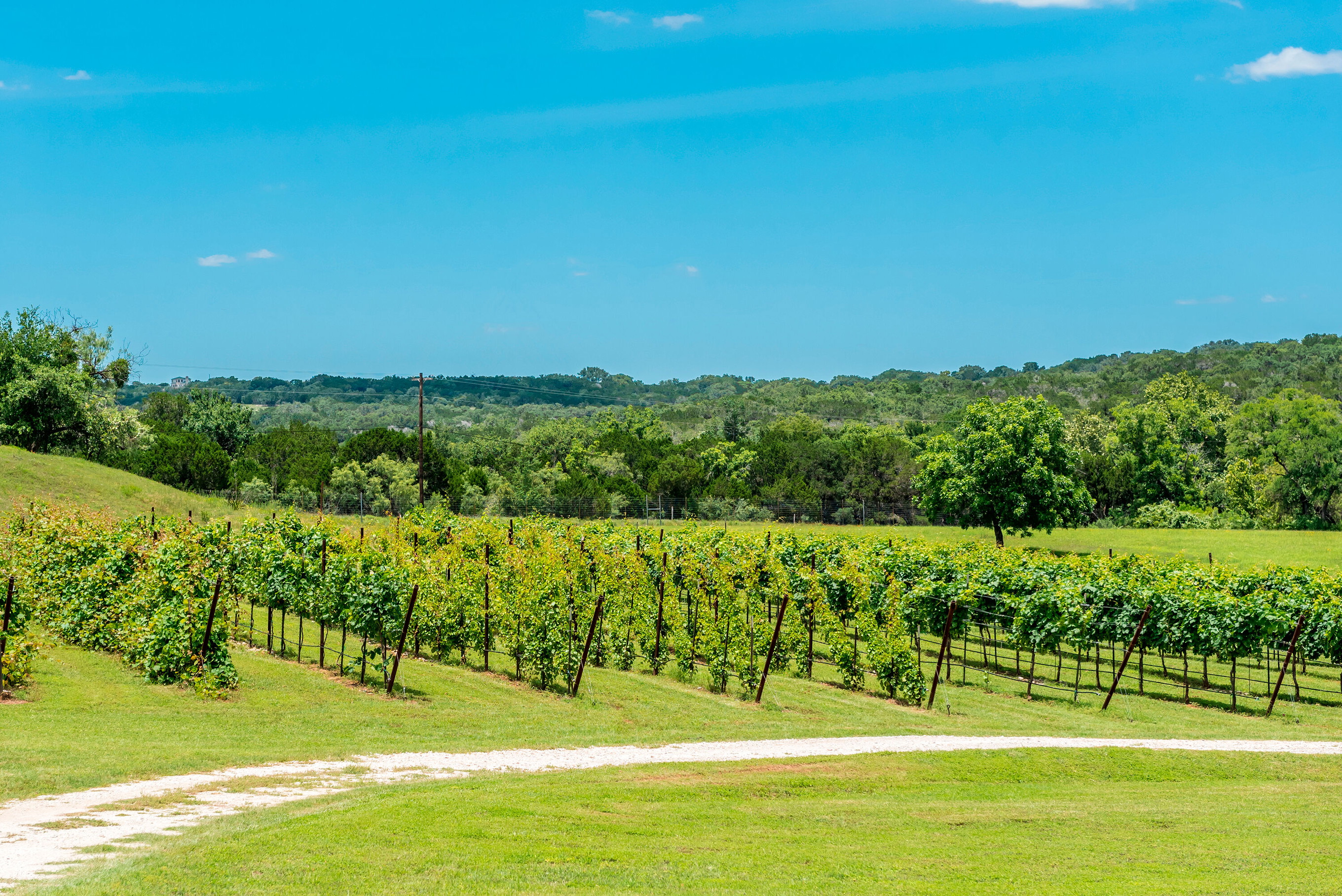 Texas