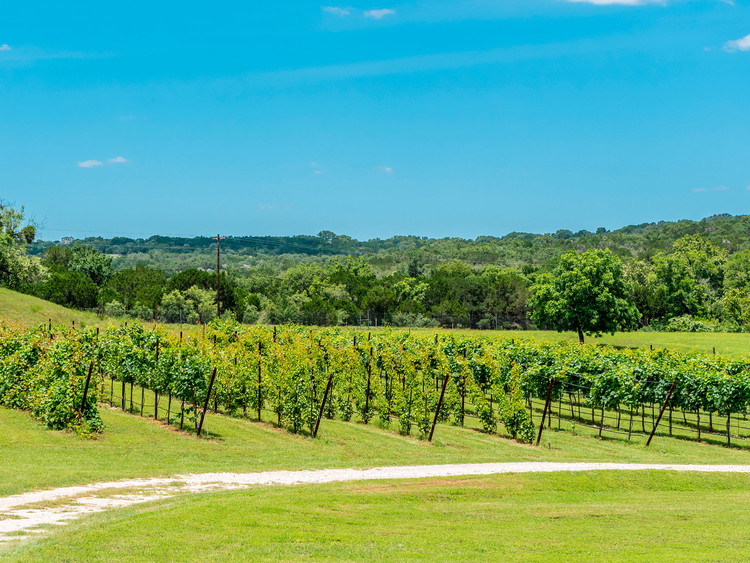 Texas