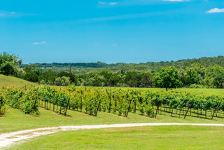 Texas