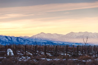 Uco Valley