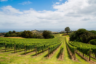 Waiheke Island