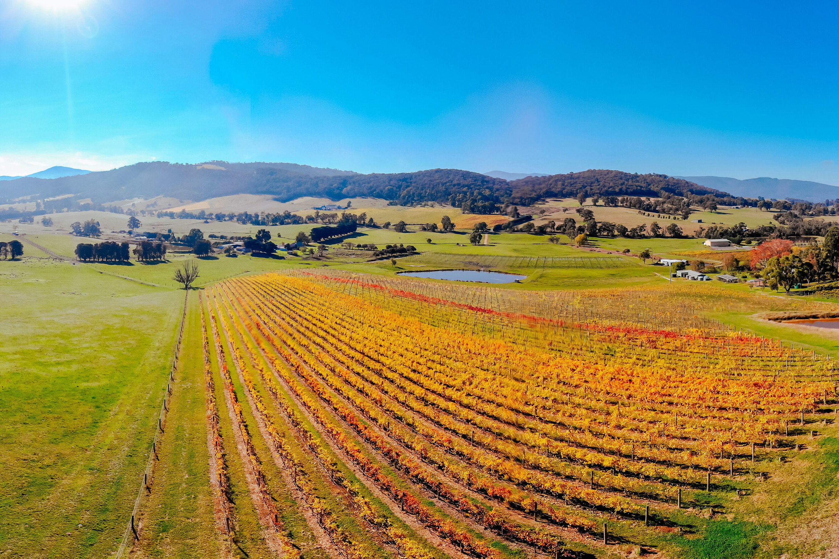 Valle di Yarra