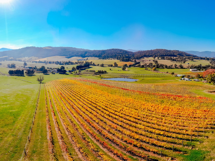 Valle di Yarra