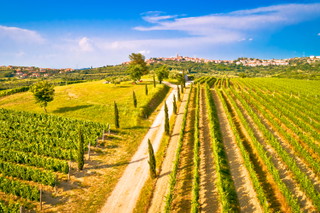 Centralnoistarsko vinogorje - Zentral-Istrien