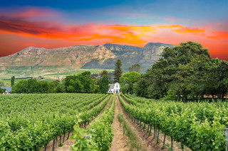 Constantia