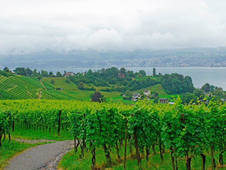 Canton Zurich
