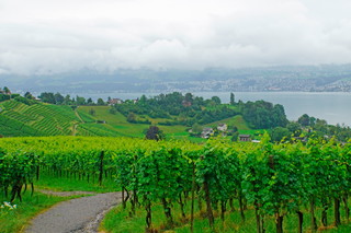 Canton Zurich