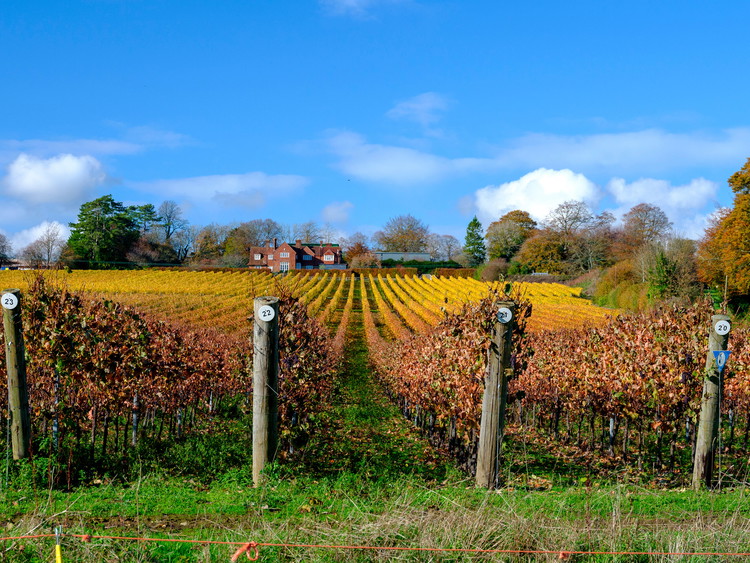 Hampshire