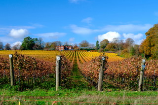 Hampshire