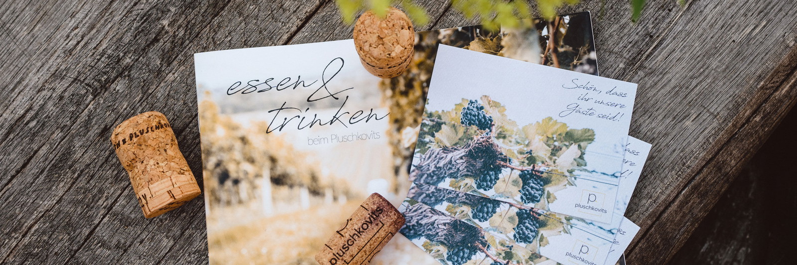 (c) Branding Identity / Thomas Meyer