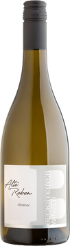 Mineralischer und kräftiger Silvaner aus über 40 Jahre alter Toplage. Die tiefwurzelnden Reben bringen viel Mineralstoffe und Extrakte in die ertragsreduzierten Trauben. Dies ist die Basis für einen erstklassigen Weißwein mit eleganten, exotischen Fruchtnuancen und zartem Schmelz.