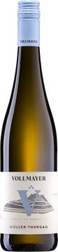 Aus über 50-jährigen wertvollen Rebstöcken vinifizieren wir einen frischen, blumigen Weißwein, ein Bodesee-Klassiker. Aromen von Wiesenkräutern, grünem Apfel, Aprikose und zartem Muskatsalbei Anklängen spiegeln sich im Glas.