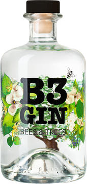 B3 GIN