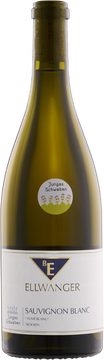 Sauvignon blanc Junges Schwaben Fumé blanc