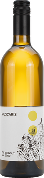 Die Muscaris-Traube ist eine PIWI-Sorte. Der aus diesen Trauben gekelterte Wein macht Lust und Freude auf mehr. Dieser Muscaris besticht durch seine duftende Aromatik. Die gut eingebundene Säure verleiht dem Wein seine Struktur.  

Aus biologischer Produktion in Umstellung.