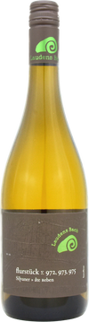 Flasche Silvaner