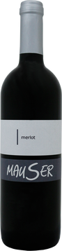 Flaschenfoto Merlot