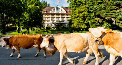 Le Grand Bellevue Gstaad