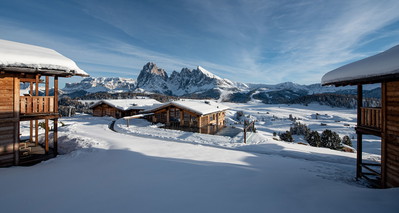 ADLER Alpe